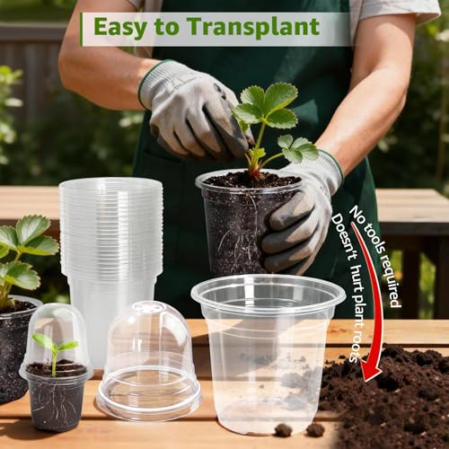 Clear Nursery Pots with Humidity Domes (Transparent / 3.5/4/5 Inch-with Lid)