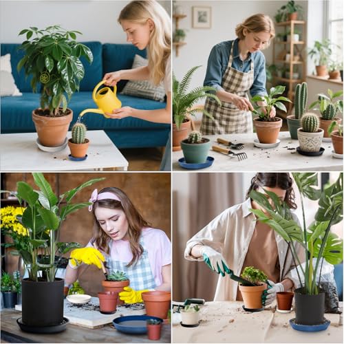 Plant Saucer 8 Inch (2 Count)