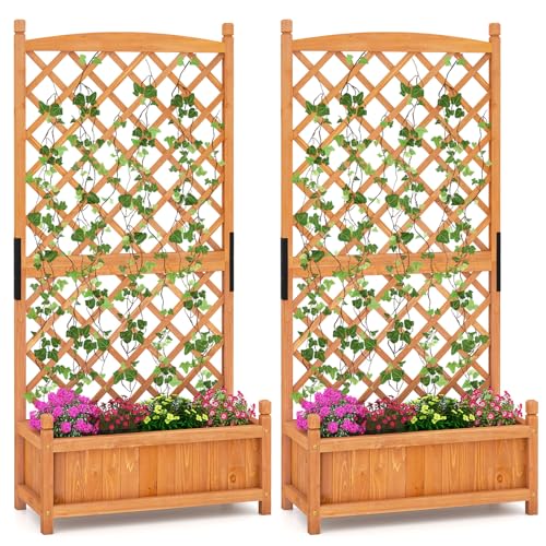 60” 2 Raised Garden Bed with Trellis (28" x 13" x 60")