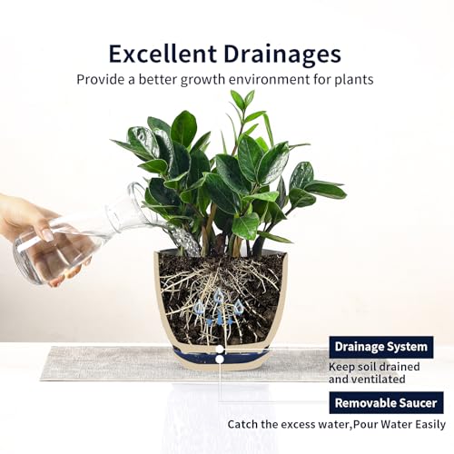 Ceramica Plant Pots (Vintage Blue / 6.5 Inch, Set of 2)