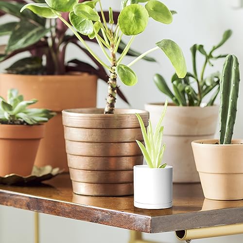24 Pack Mini White Plastic Planters with Saucers (2")