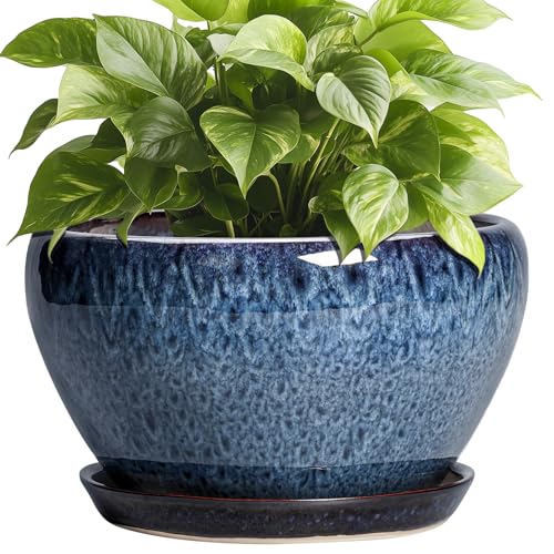Ceramic Pots for Plants (9 Inch / Blue)