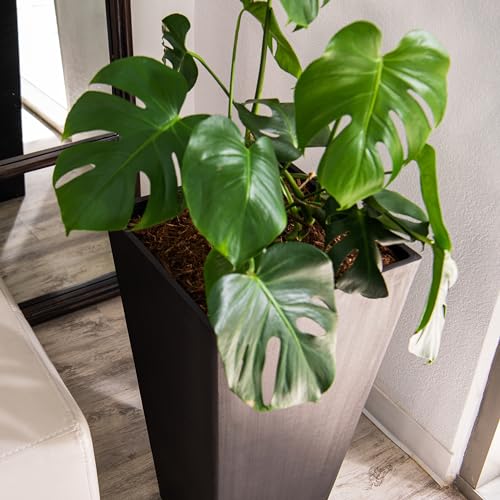 28 Inch Tapered Planter (Black / 28" H)