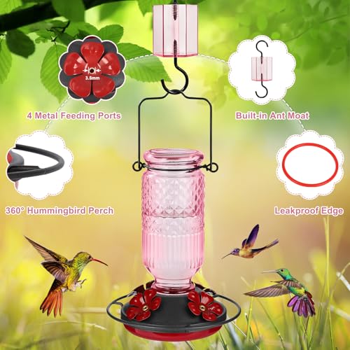 Glass Hummingbird Feeder for Outdoors Hanging (Pink)