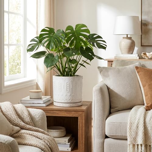 8 Inch Plant Pot (8 Inch / White - 2)