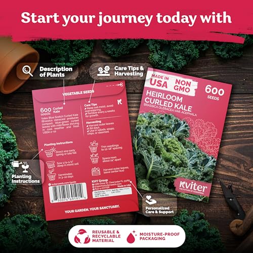 600 Vates Blue Scotch Curly Kale Seeds