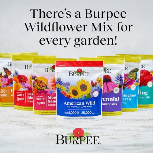 American Wild Wildflower Seeds