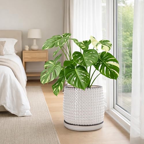Beaded Ceramic Pot with Saucer (10.2 Inch / Smoked White)