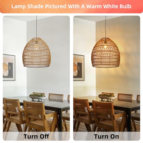 Boho Chandelier Rattan Pendant Light (1-Light / 19.6")
