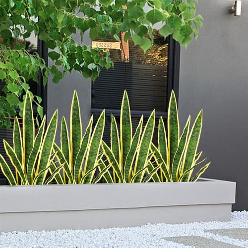 Artificial Plants 6PCS 30“Tall Faux Snake Plant (Yellow Snake Plants)