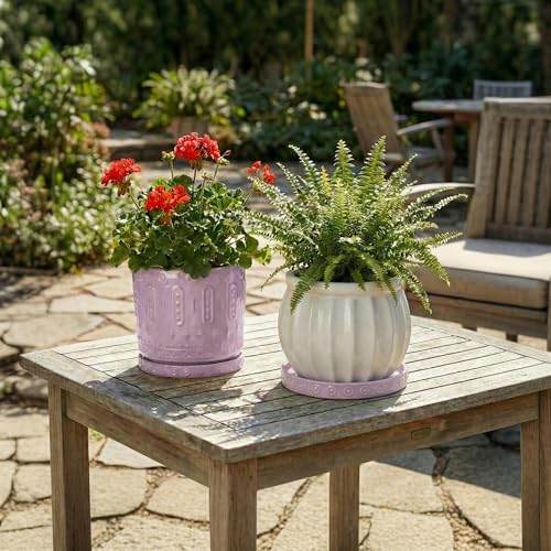 2 Pack Plant Trays for Pots (7.5 Inch (2 Pack) / Purple)
