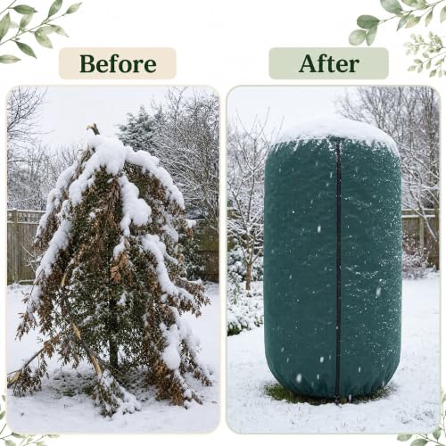 Rounded Top Plant Covers Freeze Protection (M Size-B Style)