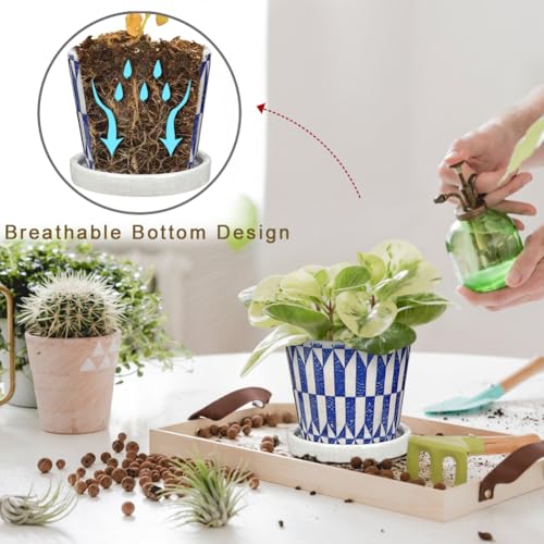 Small Ceramic Pots for Plants (Blue & White)