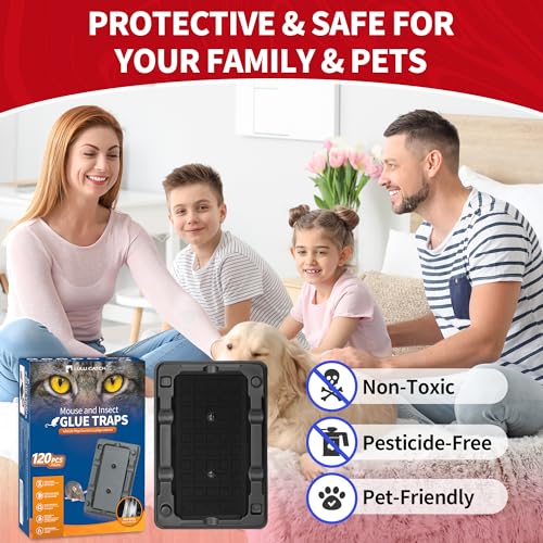 Mouse & Insect Glue Traps (Small)