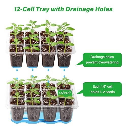 5 Pack Seed Starter Trays (Clear / 5 Packs)