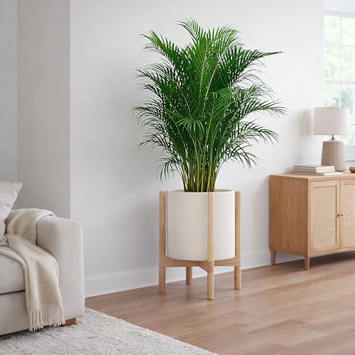 Plastic Pot with Natural Wood Stand (Oatmeal Pot + Natural Stand / 12 Inch)