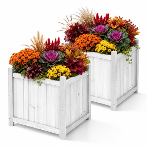 2 Pack 16" White Fir Wood Square Planter Boxes with Drainage Holes (Square Planter Boxes-whitewashed Color)