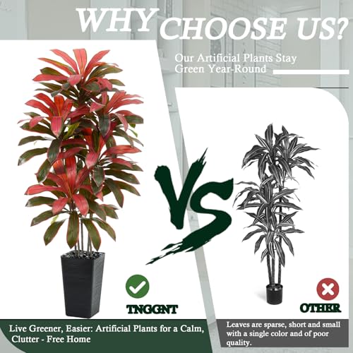 Artificial Dracaena Tree (Burgundy – Black Pot / 6FT)