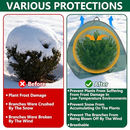 2 Pcs Pop Up Shrub Covers Frost Protection Tent (36 x 36 x 38 inch)