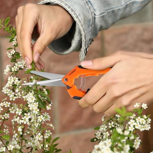 6.5 Inch Garden Scissors (6 Count)