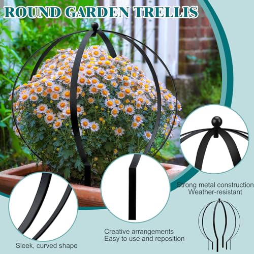 4 PCS Large Metal Round Trellis for Climbing Plants (4 Count)