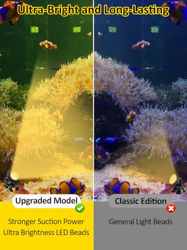 Colored Pond Lights LED Underwater with Remote Control 6 Heads (Multicolor / Set of 6)