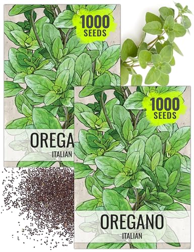 Italian Oregano Seeds to Plant Heirloom Non (2 Packs)