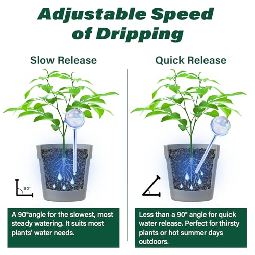 2 Pcs Glass Self Watering Globes (2 Count)