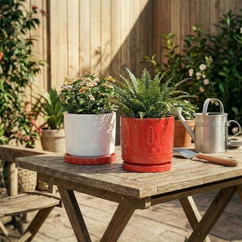 2 Pack Plant Water Catcher Tray (5.6 Inch (2 Pack) / Red)