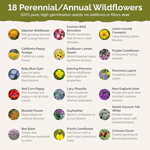 Wisconsin Wildflower Mixed Seeds for Planting