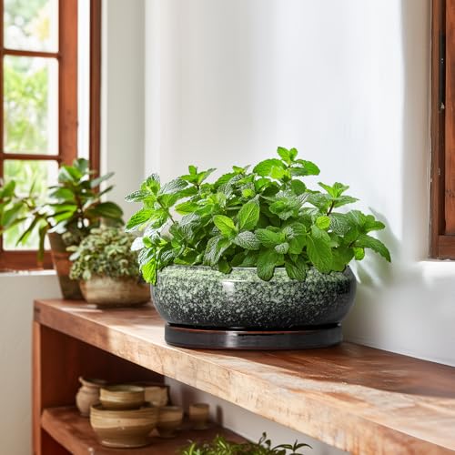 Bonsai Pots 10 Inch (10 Inch / Retro Green)