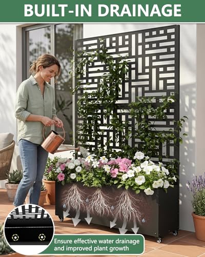 Metal Planter Box with Trellis (Black / 1pc)