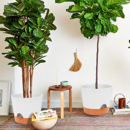 12 inch Plant Pots (2-12-12-white / 12 inch | 2PCS)