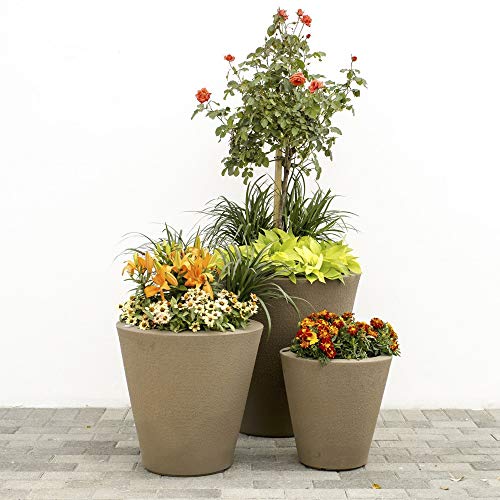 Dot TruDrop Indoor (20-Inch / Ash)