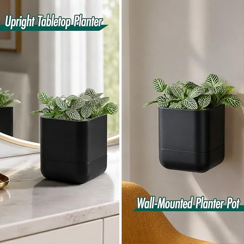 4.5 Inch Wall Mounted Self (4.5" (2 Pack) / Black)