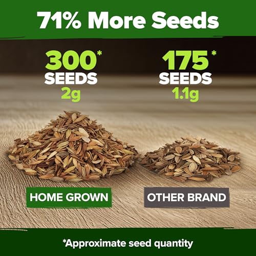 Zinnia Seeds Pumila Mix