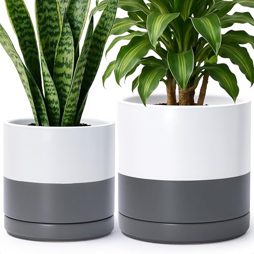 2 Pack Ceramic Pots with Saucers (2 Count)