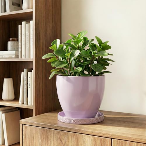5.6 Inch Flower Pot Saucers (5.6 Inch / Purple)