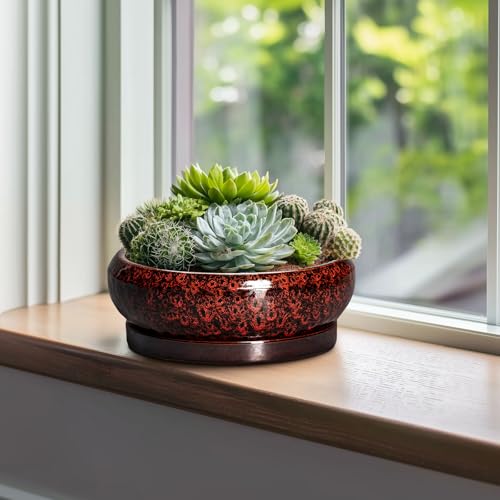 Bonsai Tree Pots (10 Inch / Leopard Red)
