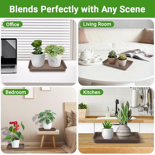 Brown Plant Saucers for Indoors (11 Inch / Brown)