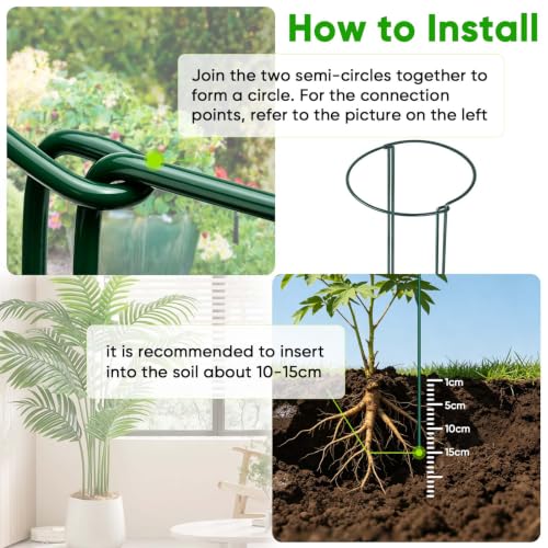 Peony Cages and Supports 24" H x 10" W (8 Count)