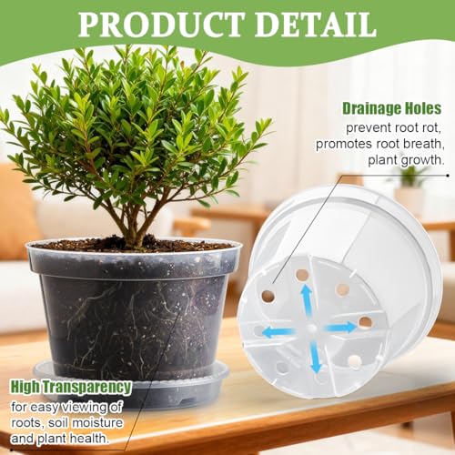 10 Pack 10 Inch Clear Nursery Pots with Saucers (Clear / 10 Inch 10 Pack)