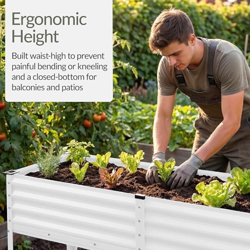 72x24x30in Non Toxic Galvanized Raised Garden Bed (72x24x30in / White)