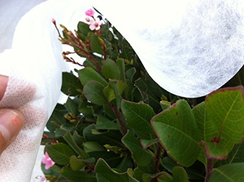 Plant Covers Freeze Protection Floating Row Covers 14'x100' 0.9oz Plant Covers Freeze Sun Protection (1400 Sq Ft)