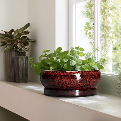 Bonsai Pots with Drainage Hole (13 Inch / Leopard Red)
