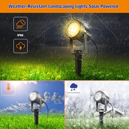 Solar Spot Lights (2 Count)