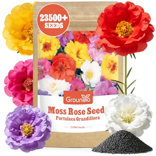 23500+ Mixed Moss Rose Seeds