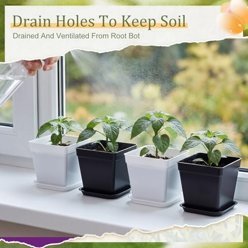 100 Pcs 4 Inch Small Plants Pot Bulk Flower Pots (Black and White)