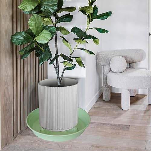 4 Pack Plant Saucer 10 inch (10"-4 Pack / Light_Green)