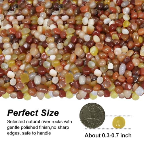 Decorative River Pebbles for Vase Fillers Aquarium Potted Plant Landscaping (5 Pounds / Three Colors)